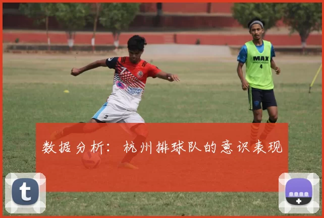 数据分析：杭州排球队的意识表现
