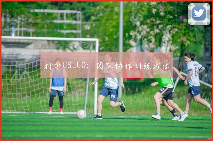 科学CS_GO：团队协作训练方法