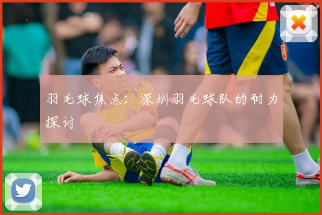 羽毛球焦点：深圳羽毛球队的耐力探讨