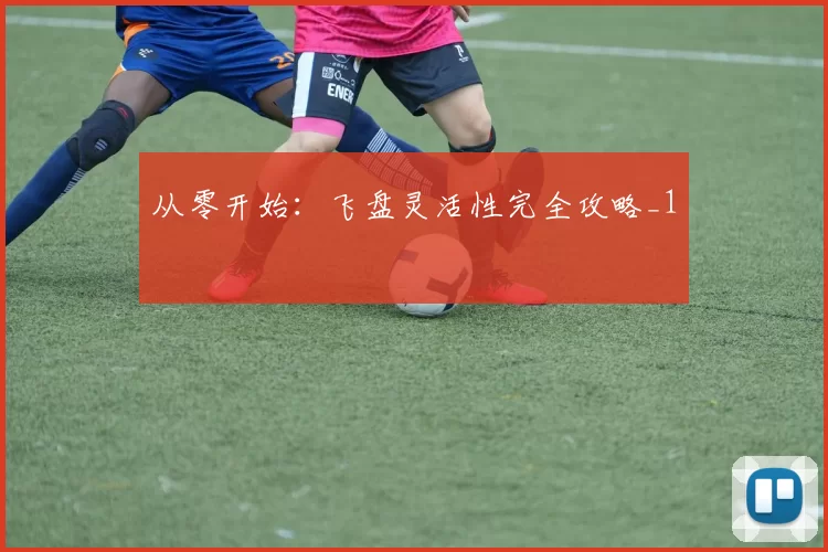 从零开始：飞盘灵活性完全攻略_1