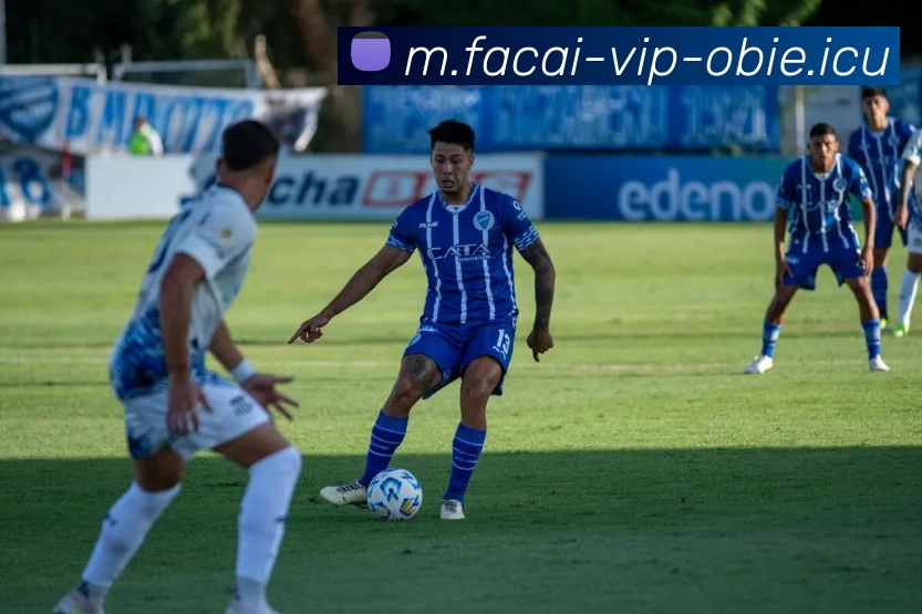 开云体育APP 封面图